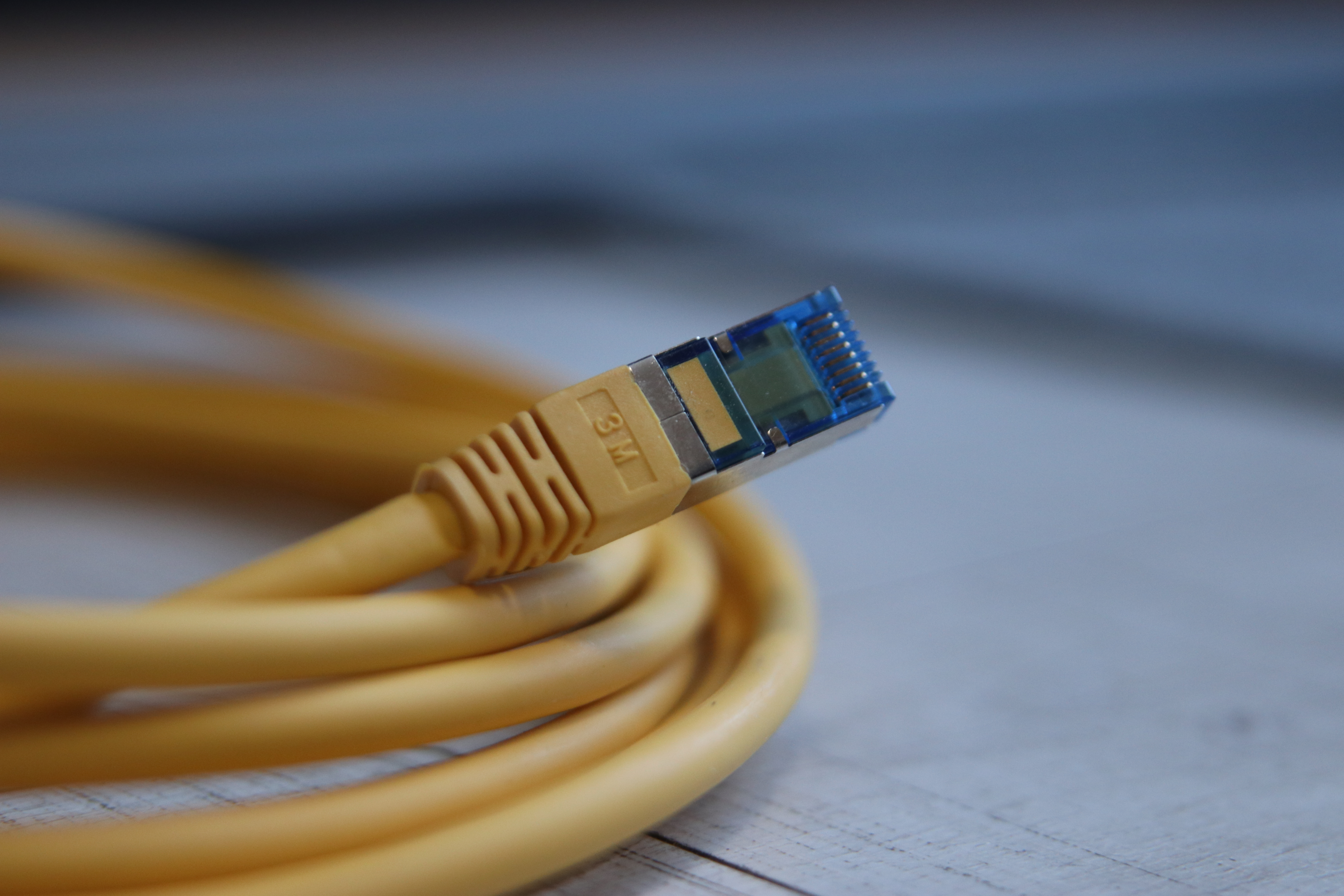 Netzwerkkabel als Detail einer strukturierten Gebäudeverkabelung